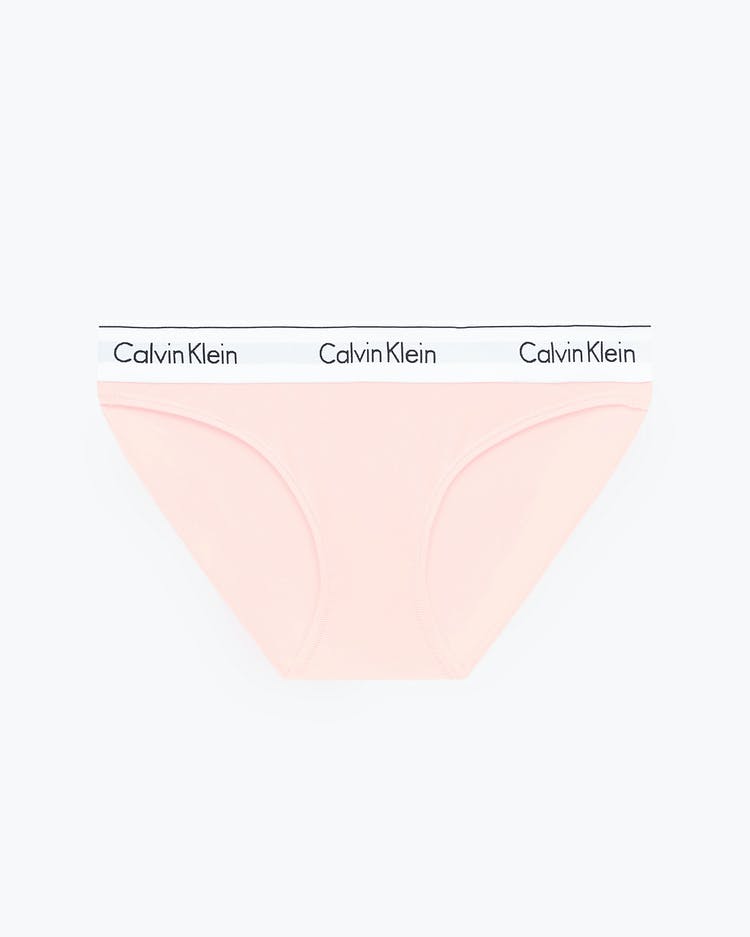 CALVIN KLEIN Modern Cotton Bikini Brief F3787