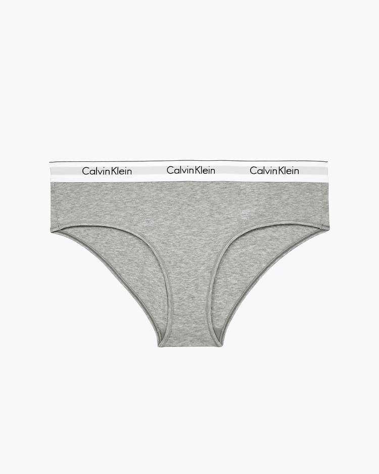 CALVIN KLEIN Modern Cotton Hipster Brief QF5118 - Plus Size