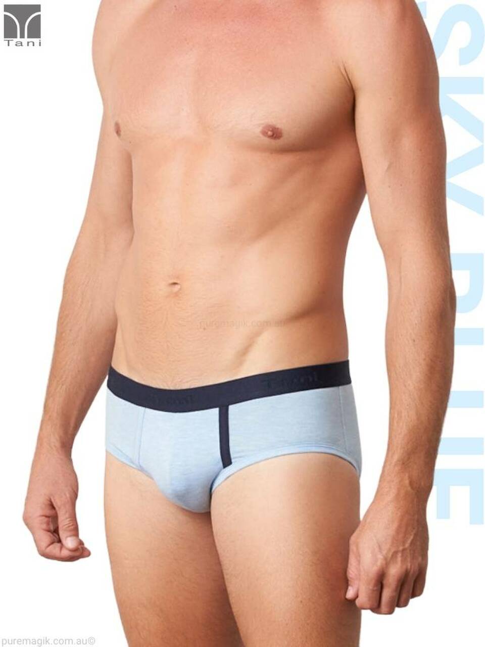 TANI Men's SilkTouch Hip Brief 19129
